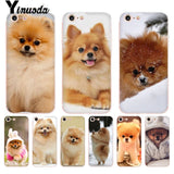 Yinuoda Pomeranian dogs dog Colorful Cute Phone Case for iPhone 8 7 6 6S Plus X 10 5 5S SE XR XS XSMAX11 11pro 11promax
