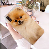Yinuoda Pomeranian dogs dog Colorful Cute Phone Case for iPhone 8 7 6 6S Plus X 10 5 5S SE XR XS XSMAX11 11pro 11promax