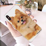 Yinuoda Pomeranian dogs dog Colorful Cute Phone Case for iPhone 8 7 6 6S Plus X 10 5 5S SE XR XS XSMAX11 11pro 11promax