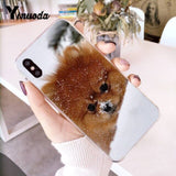 Yinuoda Pomeranian dogs dog Colorful Cute Phone Case for iPhone 8 7 6 6S Plus X 10 5 5S SE XR XS XSMAX11 11pro 11promax
