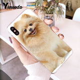 Yinuoda Pomeranian dogs dog Colorful Cute Phone Case for iPhone 8 7 6 6S Plus X 10 5 5S SE XR XS XSMAX11 11pro 11promax