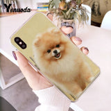 Yinuoda Pomeranian dogs dog Colorful Cute Phone Case for iPhone 8 7 6 6S Plus X 10 5 5S SE XR XS XSMAX11 11pro 11promax