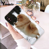 Yinuoda Pomeranian dogs dog Colorful Cute Phone Case for iPhone 8 7 6 6S Plus X 10 5 5S SE XR XS XSMAX11 11pro 11promax