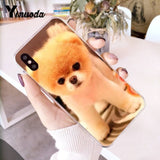 Yinuoda Pomeranian dogs dog Colorful Cute Phone Case for iPhone 8 7 6 6S Plus X 10 5 5S SE XR XS XSMAX11 11pro 11promax
